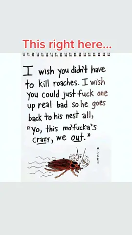 #roaches #hatebugs #floridabugs #fuckup 