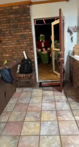 I am so sorry to all of my little cousins, nephew and niece who will never watch the grich the same again #fyp #thegrinch #christmas #christmasfail #scaringkids @reganmckinney1 @kinzielynn97 