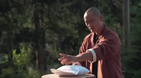 ShiHengyi showing iron palm workout#shaolinkungfu #kungfu #martialarts #fyp #tiktok #viral 