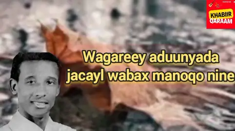 #somaliFollowers #msomalitiktok #msomalitiktok