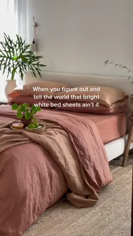 I said what I said #interiordesign #bedroomdesign #earthtones #cozyhome 