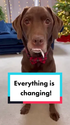 Everything is changing! 🥰