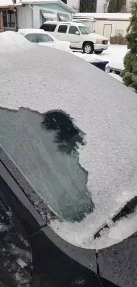 winter is here #frozen #winter #fyp #ice #snow #cold #pnw #lol #funny #hilarious 