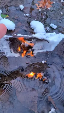 Testing Blackbeard Firestarters in extreme weather 🏴‍☠️🔥 #fyp #foryou #survival #bushcraft #Outdoors @blackbeardfirestarters 