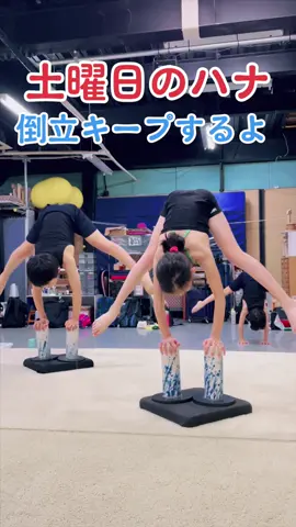 土曜日の #ハナ から、ハッピーメリークリスマス❤️ 今日はお姉ちゃんがケーキを作ってくれるよ。#handstand #acrojapan