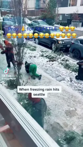Seattle December 23, 2022 #seattle #fyp #foryou #foryoupage #icestorm2022 