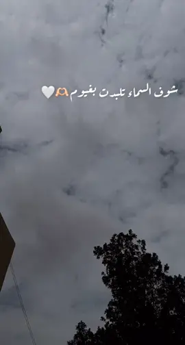 #اكسبلور #شوف_السماء_تلبدت_بغيوم☁️🤍 