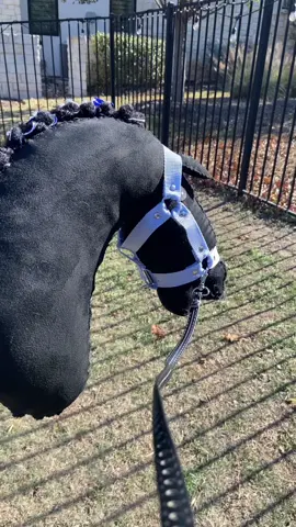 Show vlog 2 USHH Horse show #HolidayOREOke #fyp #foryoupage #viral #viralvideo #horse #horses #pony #pony #ponies #hobbyhorses #hobbyhorse #hobbyhorsing #hobbyhorsejumping #hobbyhorsemaker #green #greenpony #greenhorse 