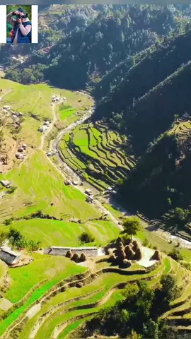 Surnaya #dadeldhuramuser #foryou #fyp #farwestnepal #goviral 