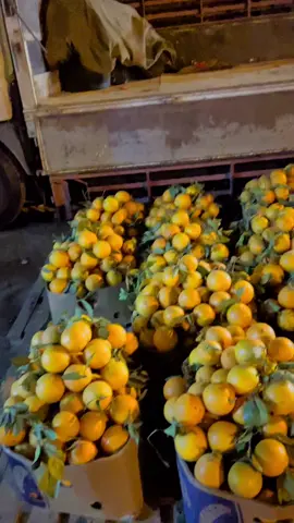 #سوق_جنزور_لي_الفوكه_والخضروت🤗🔥❤️‍🔥🔥 