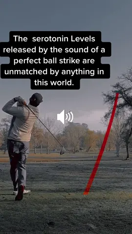 There is a chemical reaction that takes place when you hear and feel the sound of a perfectly struck driver on a crisp winter morning the day before Christmas…. Magical. Wouldn’t trade this sport for anything. #golf #golftiktok #golfcourse #relatablegolfcontent #golfclub #golftipsdaily #golftips #golfer #Golf #golfforbeginners #golfing @zire_golf @Golf Digest #christmas 