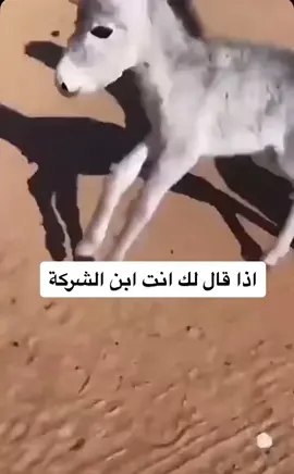 #explore #الشعب_الصيني_ماله_حل #fyp #الشعب_الصيني_ماله_حل #kjo #الرياض #CapCut #اكسبلور 