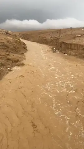 الكرك 😍😍😍😍😍محي