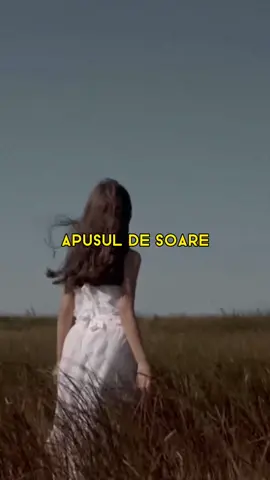 Apusul de soare e doar rasaritul, vazut de la spate 🎧 #fy #themotans 