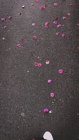 مين؟! #ترتد_تيك_توك #سنة_جديدة #شعر 