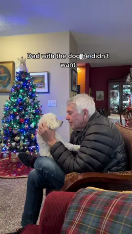 his literal child #ReasonForBooking #dadsbelike #dadsanddogs #christmas2022🎄 
