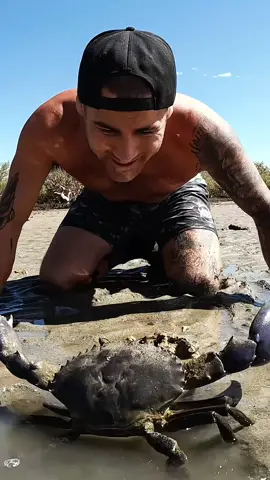 well that escalated quickly