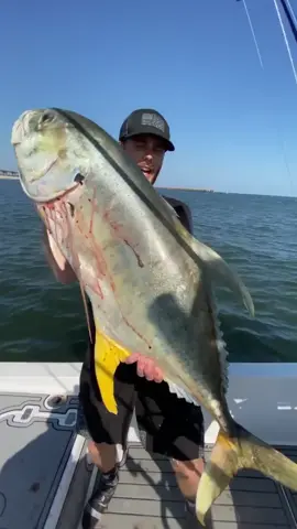Okay but…. Biggest Jack Crevalle you have ever seen??? 😳 #Stackz954 #ExoticExpress #FloridasFavorite 