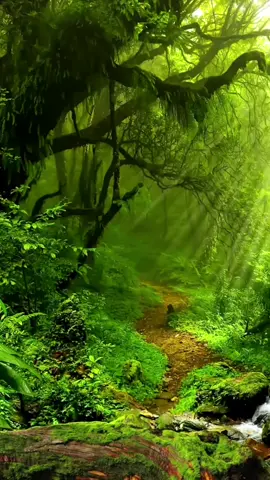 Pemfotograf membawa anda untuk merekam pemandangan yang paling indah di dunia#fyp #tiktok #pandangan 