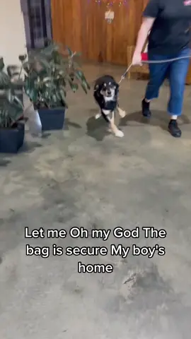 The paws on the floor 🥹🥹🥹  