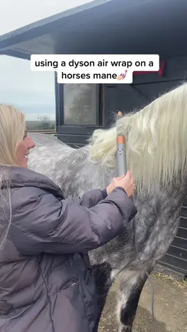 he slayed this look😂💅🏻 #dysonairwrap #horse#equestrianlife #fyp #horsemane #horsegirl #blonde #equine 