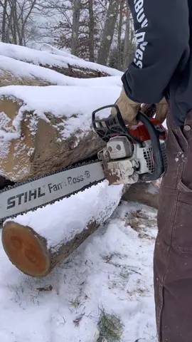 The STIHL MS 271 Eating Icey Red Oak #fyp #homestead #firewood #livethewoodlife #Outdoors #woodlife #stihl #logs 
