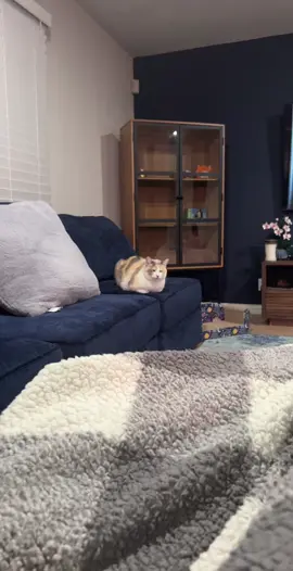 Hope u guys have been enjoying the extra shitposting 