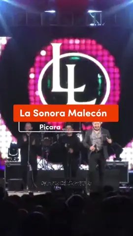 La sonora malecón & Luis lambis - Picara #lasonoramalecon #luislambis #picara #gx #retro #90s #generacionx_oficial #xinoku #chile #Colombia #sucaidadecarnet2 