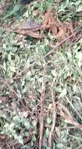 pinjam sound nya om @PRESIDENCANTER 🏁 