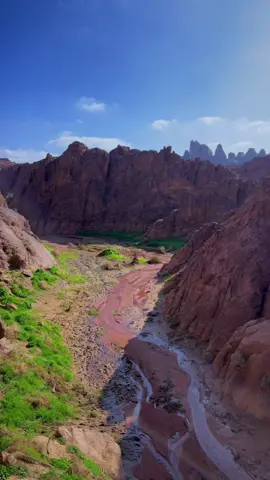 اجمل من العطر واجمل المناظر بعد هطول الامطار#حايل_حايلنا حياكم تنورو حسابي وكل يوم مكان جديد #تصويري_سنابي_يومياتي #_اكسبلور #مصورين_حايل #أكثر_من_سناك #fypシ_ #اكسبلوررررررررررر #حايل_بعد_حيي #حايلندا_اكسبلور #كواليس_تصوير #كشتات_طلعات_البر #حائل_تيك_توك 