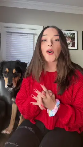 What my dog got for Christmas 