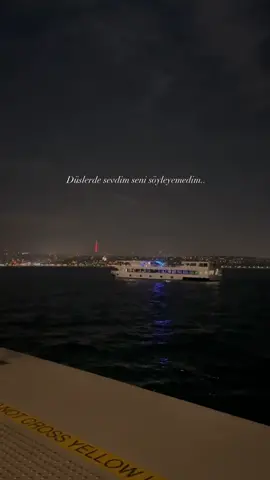 Düslerde sevdim seni söyleyemedim🍃.. #lstanbul #turkiye #istabulturkey #deniz #bot #istanbul34 #galatport #ortakoy #karakoy #taksim #تركيا #اسطنبول #اسطنبول_تركيا #söylemedim #explore #sea #boat #foryoupage #fypシ 
