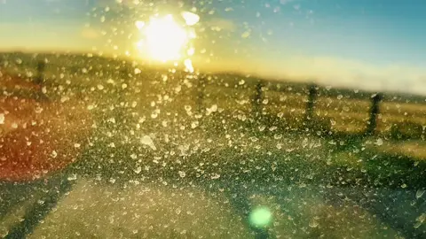 #findthebeauty #peaceofmind 