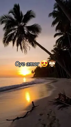 7 hermosos meses ❤️✨️ #cosasdenovios #cosasdeparejas #tiktoktrending #tiktokdeamor #music #graciasamor #amor #frases #topmusic #trending #tiktok #cancionesromanticas #fypシ #fyp #contigo #dedicar #lyrics #lyricsvideo #canciónconletra #viral #videoviralitiktok #tanenamoradoscnco #cncofans #cncowners #edits #CapCut 