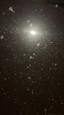I got soaked for this dreamy video but I enjoyed every minute 🌨️❄️💙 #dreamy#snowfall#snowvibes#slowmotion#aesthetic#fyp#peaceful#beautiful#foryoupage  