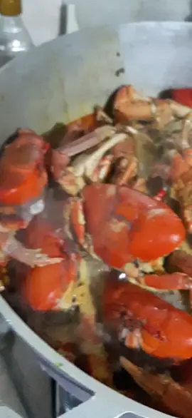 #guayas_ecuador🇪🇨🇪🇨🇪🇨👈 