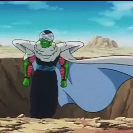 Piccolo's respect to Vegeta #fyp #foryou #dragonball #anime #manga #goku #dragonballsuper #goku #dbz #naruto #akiratoriyama #piccolo #db #majinbuu 