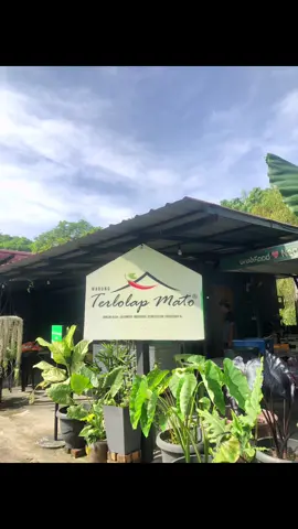 Memang terlolap mato eden lepas makan😋😋🤤..semua sedapp 👍🏼👍🏼 #makansedapnilai #nilai #warungterlolapmato #fypシ #cendawangorengsedap #masaklomaknogori 