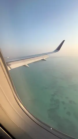 Qatar Airways Landing on Qatar Airport | #qatar #qatarairways🇶🇦 #aviation 