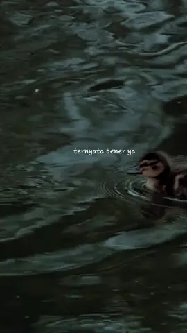 DIANGGAP TIDAK PENTING #CapCut #quotes #quotesindonesia #quoteoftheday #quotesaesthetic #fyp #untukmu #status #statuswa #statuswhatsapp #statusvideo #story #sadardiri #sadboy 