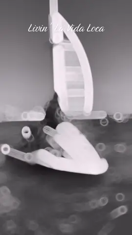 not my best year but i’m grateful ❤️ #lifestylechange #bestlifenow #christmas 