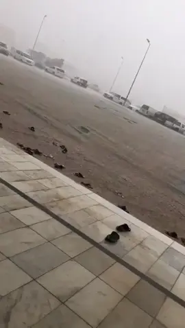 السيل اخذ مصلح وروح 😂😂😂 #Alfabeijo #اكسبلوووورررر #اكسبلورexplorepage #مطر ##جده_الان 