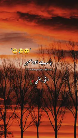 Ja Rahe Ho December😢||December sad poetry||Good bye December||urdu shayari whatsapp status||#foryou #foryoupage #123fy_p #urdu_poetry_official #udasi012 .