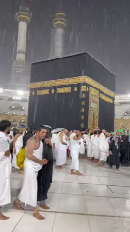 كان حلمي دائماً يارب عمرة والدنيا مطر والحمدلله رب العالمين في آخر يوم بسنة ٢٠٢٢ جبر ربي قلبي واستجاب وكانت عمرتي تحت المطر الحمدلله/يارب اشرح صدورنا بما يسرنا بالأعوام القادمة يارب تحت طاعتك وكف عنا مايضرنا 😩🤍🤍 صوت المطر رد روح كل المعتمرين الحمدلله🤍#امطار_مكه #makkah #makkah_live #مكه_الان 