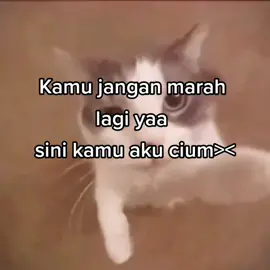 All right#meme #cute #cat #foryoupage #fyp 