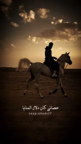 حصاني كان دلال المنايا ❤️🐎 #inshot #خيل_وخياله🐎 #اكسبلورexplore ##جدة_الان #الخيل 