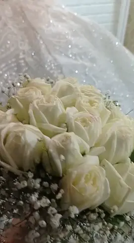 لـــ #عروستــنا✨ ستڪوني عروسه بفستانك الابيض وجميله وانتي تحملين الورود وفاتنه وانتي تمشين ؏ انغام زفتك فـعسـى ڪل معنـئ السعـاده تعيشــيه انتــي❥،⁽⇣@ليلوش #عسولتي🍯 🥺❤