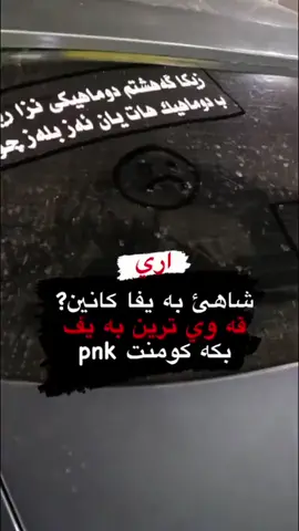 #خاين #اكسبلور #fly #zaxo_duhok_hewler_slemani_hawler #zaxoyi #zaxoy 