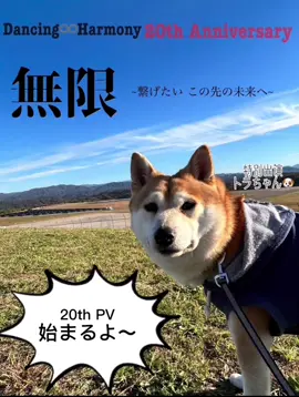 島根県益田市で活動中ダンスチーム INFINITY #dance#infinity #島根県益田市 #D-51