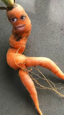 #carrots when you be struggling trying eat better and you got a burger in one hand then sally sue salad 🥗 and carrots 🥕 be talking to you like new year new you 
